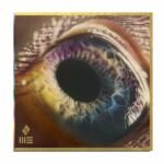 Vinilinė plokštelė - Arcade Fire - We LP