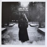 Lana del rey – splendour in the park 1