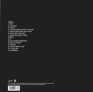 Billie eilish – when we all fall asleep, where do we go 2